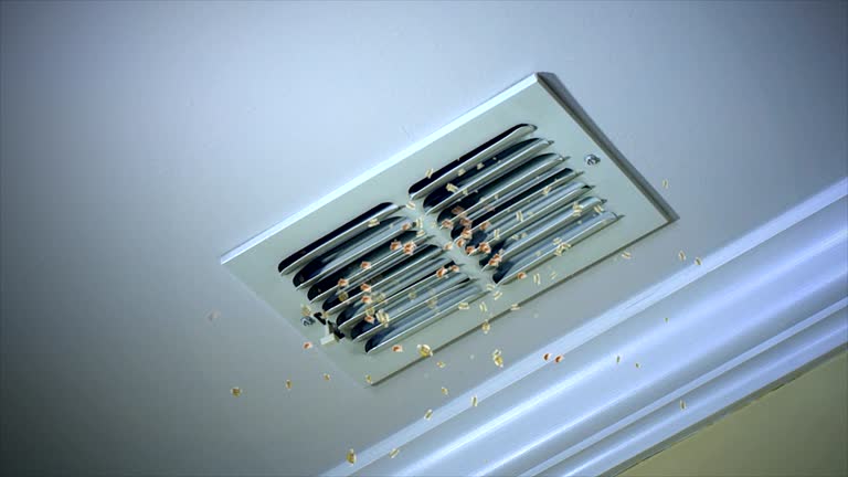 Ventilation Cleaning Services