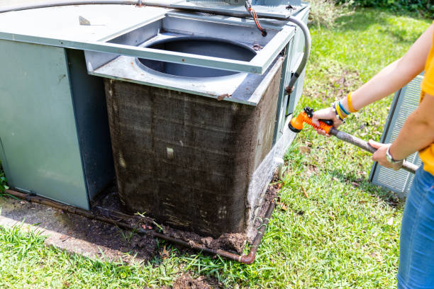 Best Dryer Vent Cleaning Services  in Three Oaks, MI
