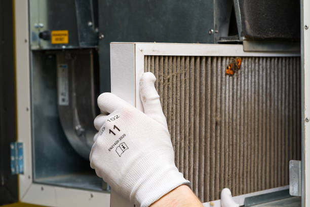 Best Air Duct Cleaning Near Me  in Three Oaks, MI