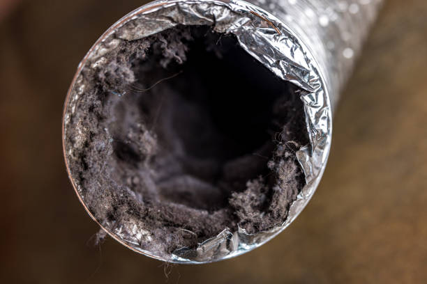 Best Air Duct Cleaning Near Me  in Three Oaks, MI