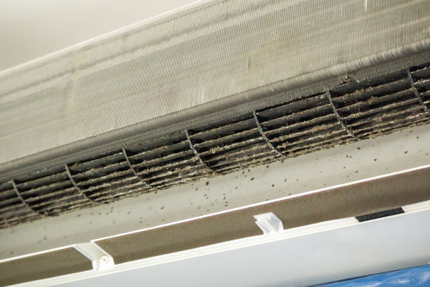 Best Professional Duct Cleaning Services  in Three Oaks, MI