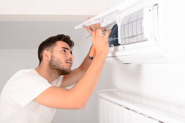 Best Affordable Air Duct Cleaning  in Three Oaks, MI
