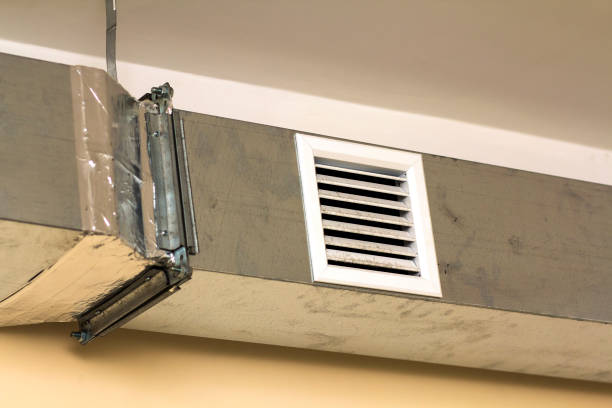 Best Home Air Vent Cleaning  in Three Oaks, MI