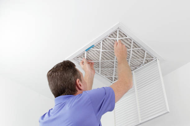 Best Affordable Duct Cleaning Services  in Three Oaks, MI